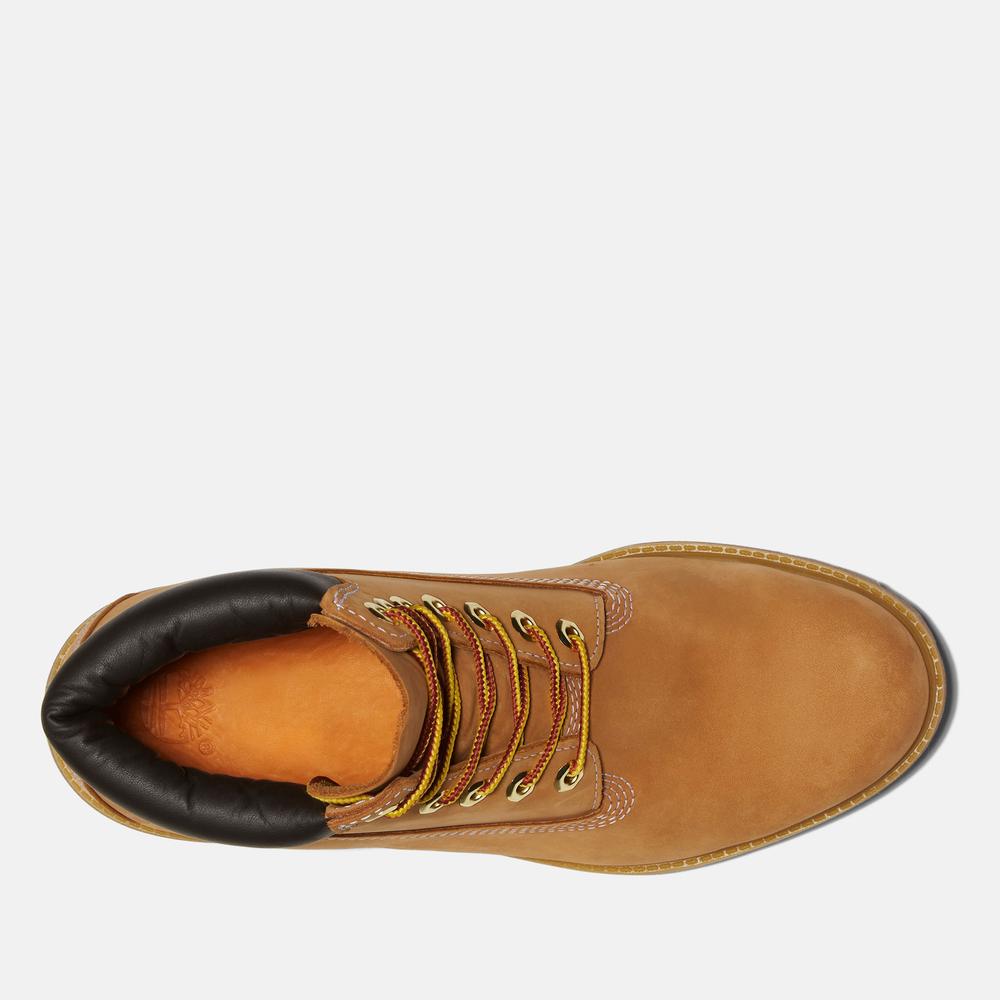 Pánské boty Timberland Premium 6 Inch Boot 1100617131 - hnědé