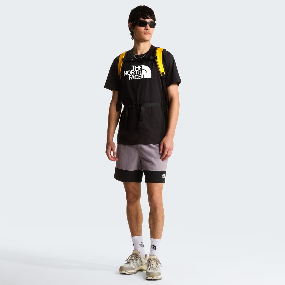 Pánská tričko The North Face Evolution Half Dome 0A8B6JKY41 - černé