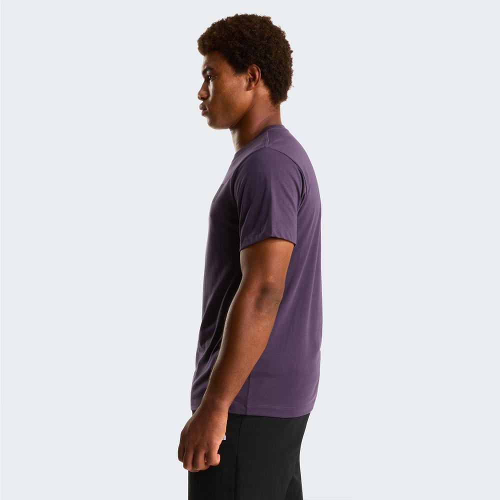 Pánská tričko The North Face Evolution Box Half Dome 0A8G9CG5O1 - fialové