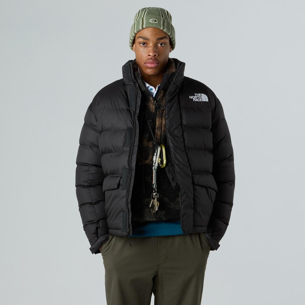 Pánská bunda The North Face Limbra 0A89EGJK31 - černé